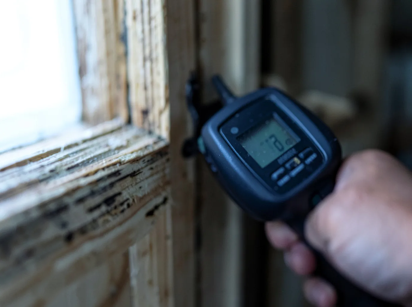 Moisture Inspection And Documentation in Picture Rocks, PA